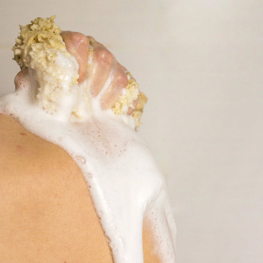 Natural Sea Sponge