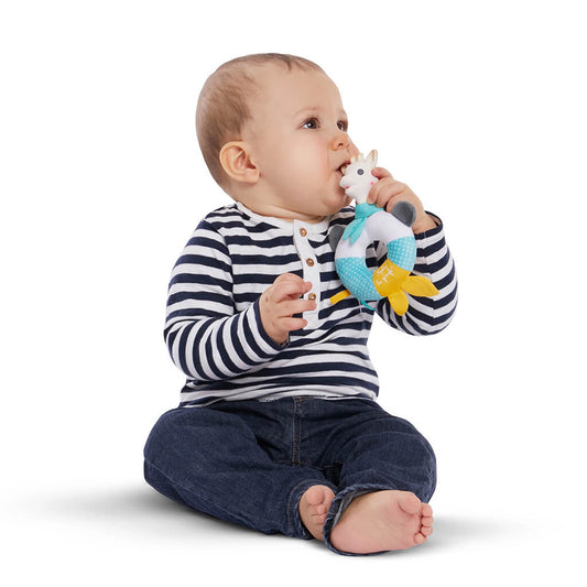 Shake and Chew Rattle